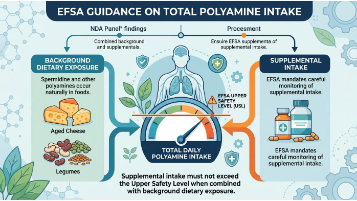 EFSA's Current Safety Appraisal and Scientific Opinions on Spermidine